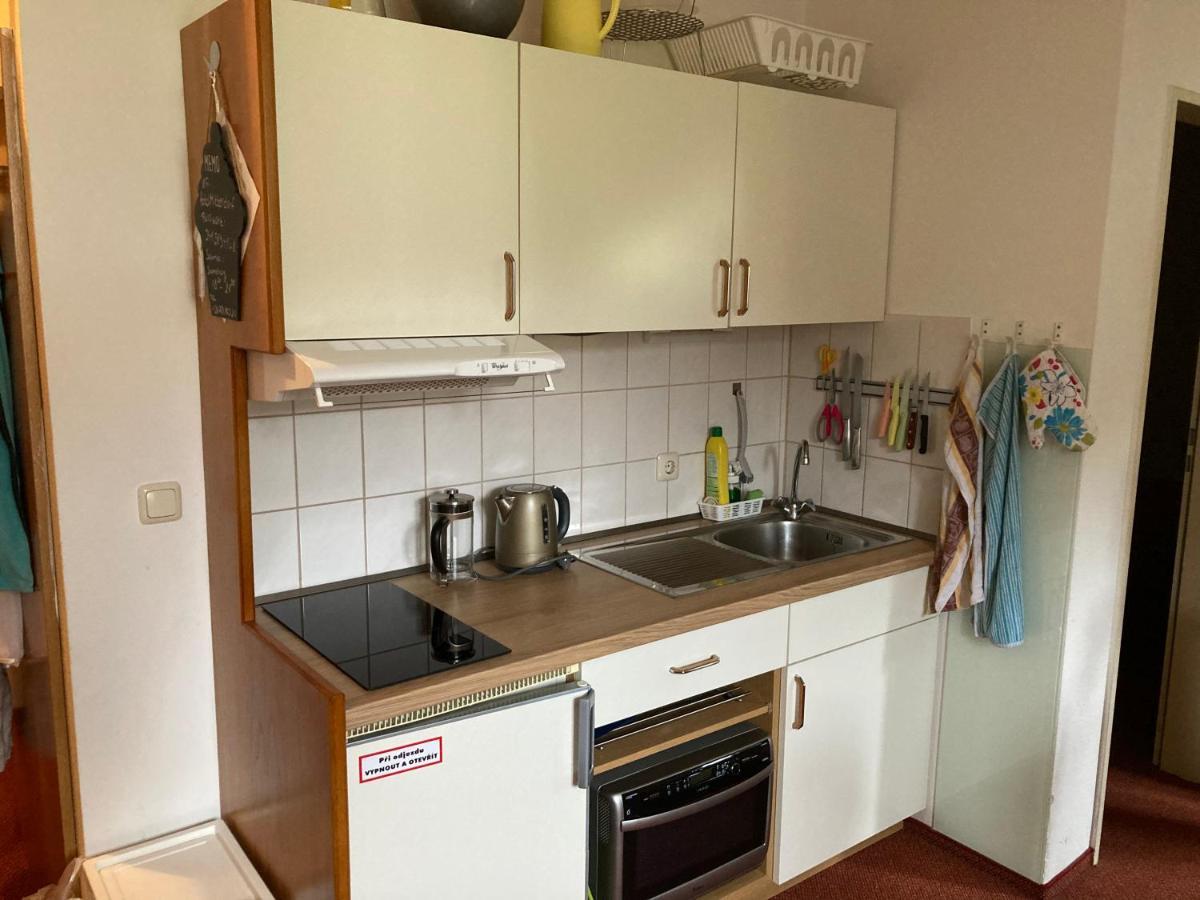 Apartman Viki Lejlighed Philippsreut Eksteriør billede