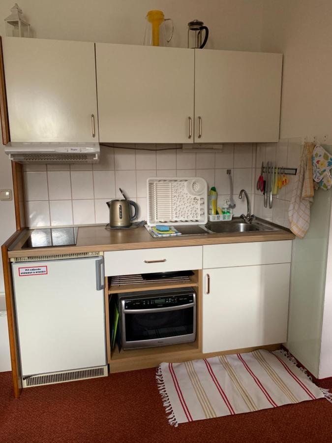 Apartman Viki Lejlighed Philippsreut Eksteriør billede